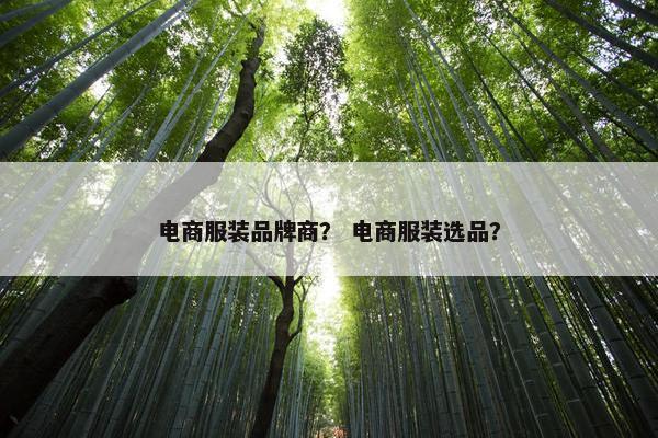 电商服装品牌商？ 电商服装选品？