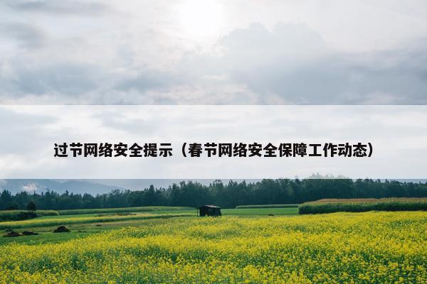 过节网络安全提示（春节网络安全保障工作动态）