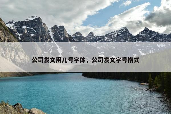 公司发文用几号字体，公司发文字号格式