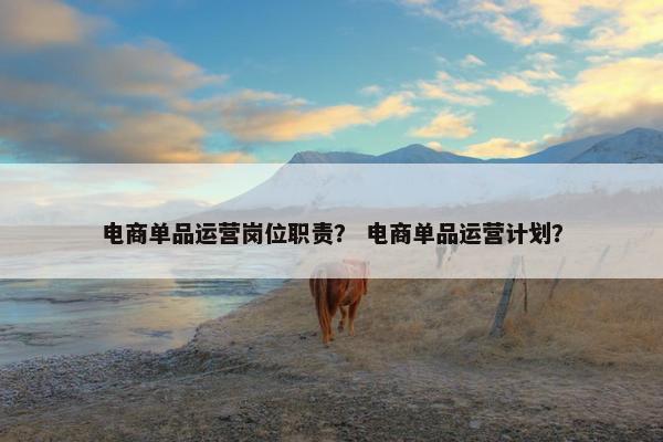 电商单品运营岗位职责？ 电商单品运营计划？