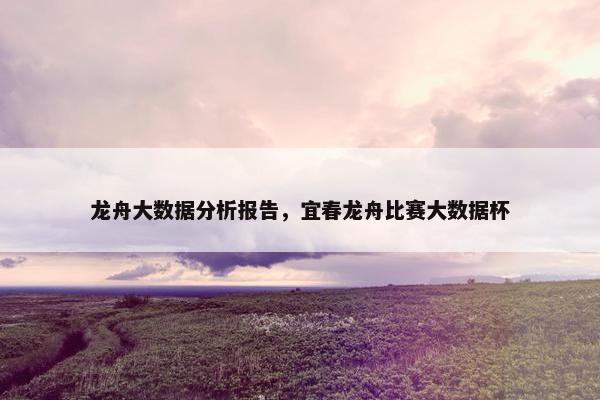 龙舟大数据分析报告，宜春龙舟比赛大数据杯