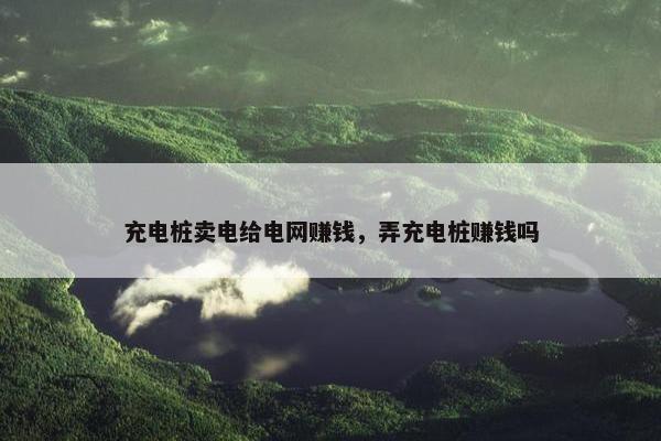 充电桩卖电给电网赚钱，弄充电桩赚钱吗