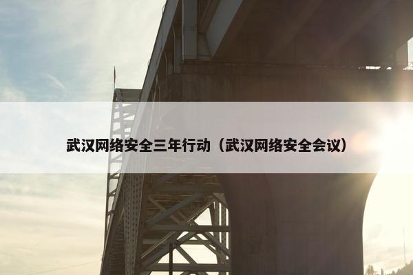 武汉网络安全三年行动（武汉网络安全会议）