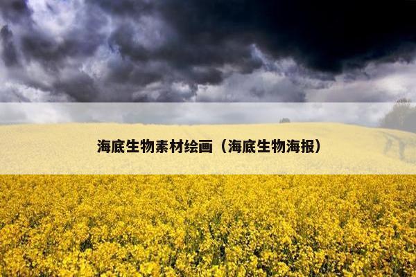 海底生物素材绘画（海底生物海报）