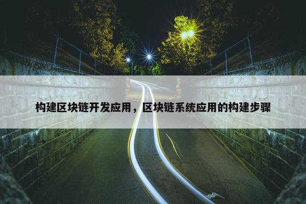 构建区块链开发应用，区块链系统应用的构建步骤