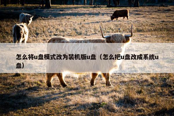 怎么将u盘模式改为装机版u盘（怎么把u盘改成系统u盘）