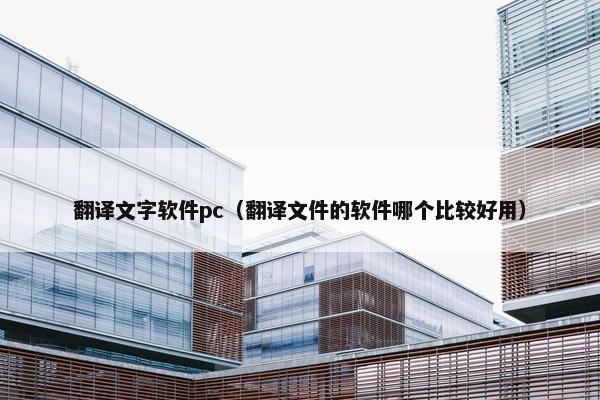 翻译文字软件pc（翻译文件的软件哪个比较好用）