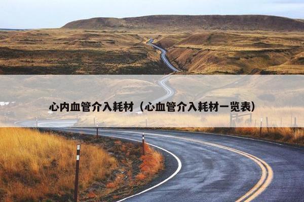 心内血管介入耗材（心血管介入耗材一览表）