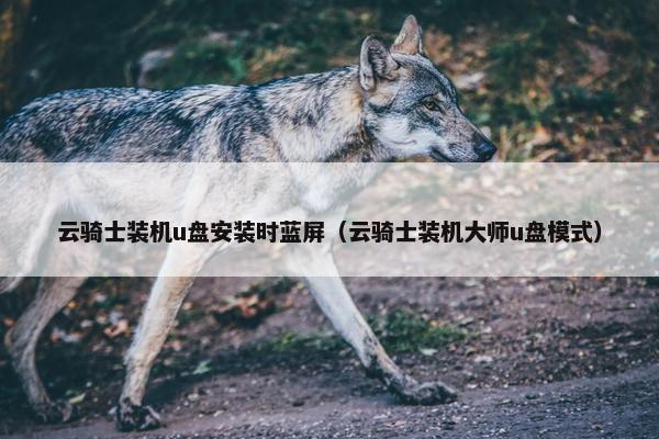 云骑士装机u盘安装时蓝屏（云骑士装机大师u盘模式）