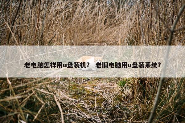 老电脑怎样用u盘装机？ 老旧电脑用u盘装系统？