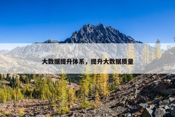 大数据提升体系，提升大数据质量