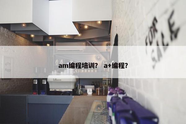 am编程培训？ a+编程？