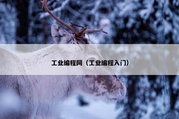 工业编程网（工业编程入门）