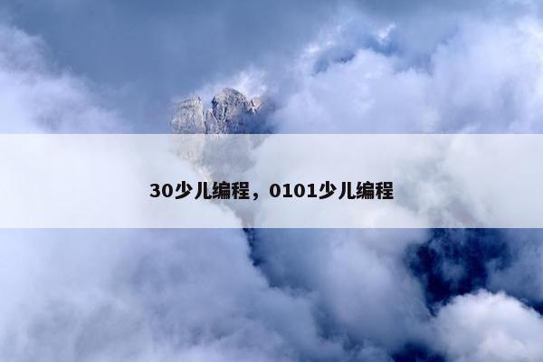 30少儿编程，0101少儿编程