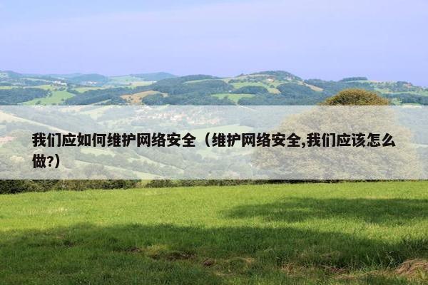 我们应如何维护网络安全（维护网络安全,我们应该怎么做?）