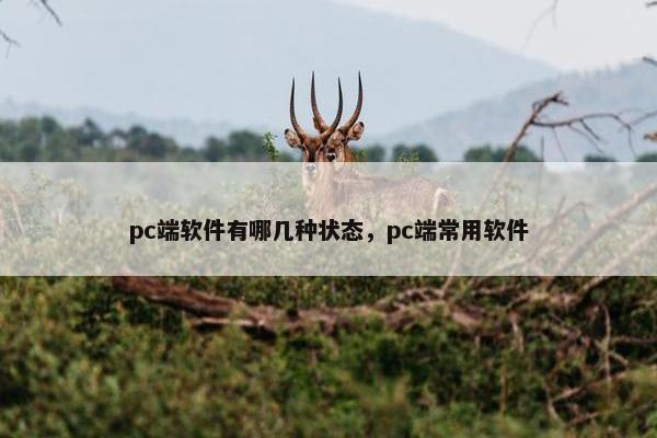 pc端软件有哪几种状态，pc端常用软件