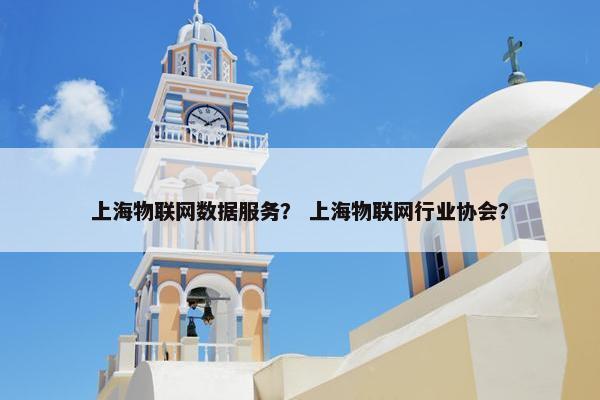 上海物联网数据服务？ 上海物联网行业协会？