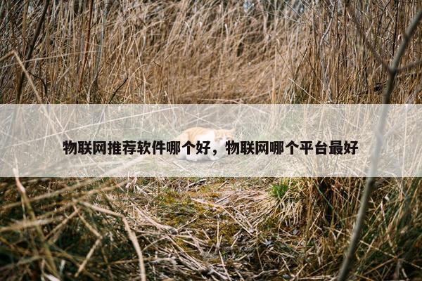 物联网推荐软件哪个好，物联网哪个平台最好
