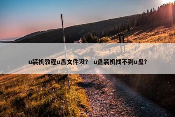u装机教程u盘文件没？ u盘装机找不到u盘？