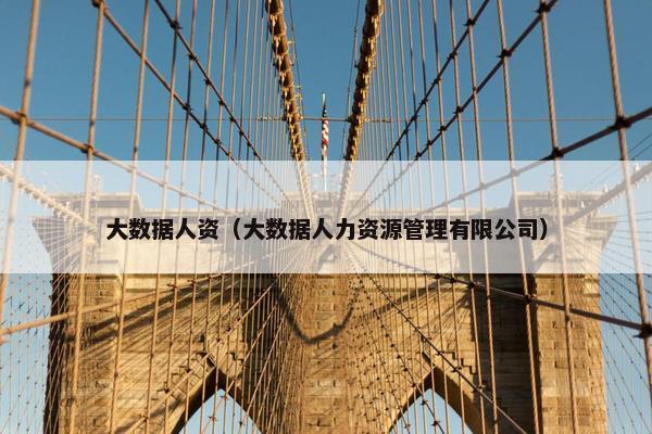 大数据人资（大数据人力资源管理有限公司）