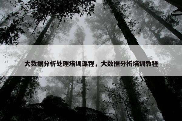 大数据分析处理培训课程，大数据分析培训教程