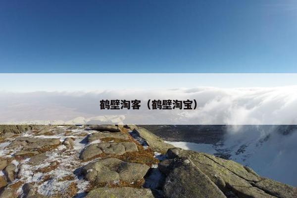 鹤壁淘客（鹤壁淘宝）