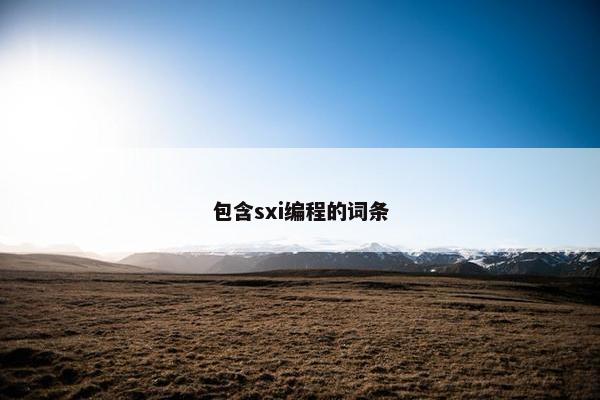 包含sxi编程的词条