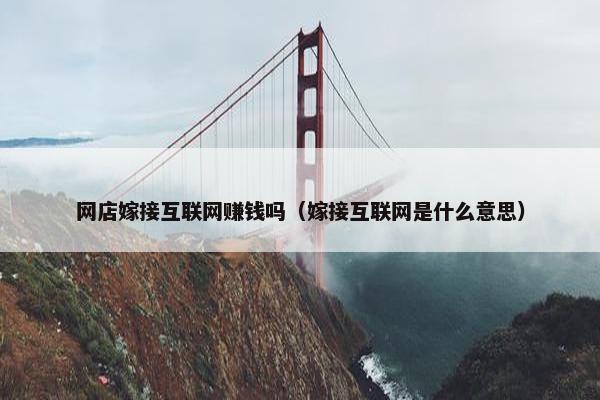 网店嫁接互联网赚钱吗（嫁接互联网是什么意思）