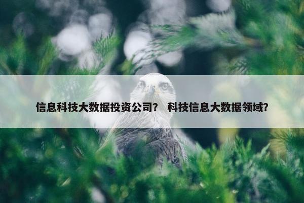 信息科技大数据投资公司？ 科技信息大数据领域？