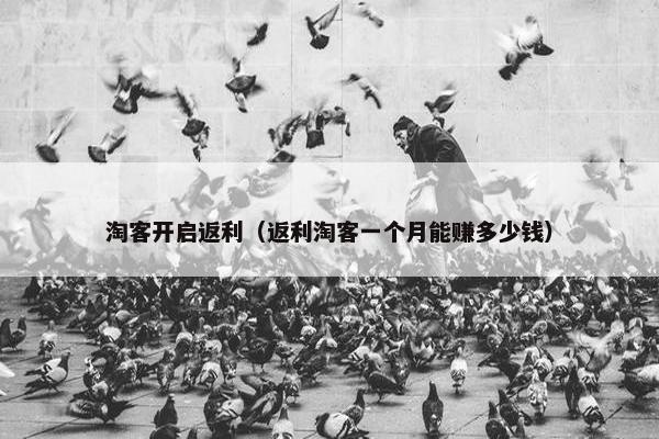 淘客开启返利（返利淘客一个月能赚多少钱）