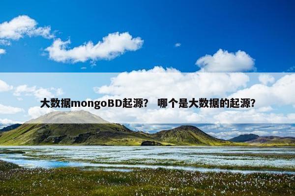 大数据mongoBD起源？ 哪个是大数据的起源？