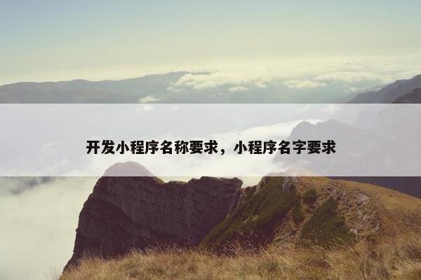 开发小程序名称要求，小程序名字要求