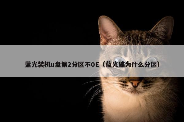 蓝光装机u盘第2分区不0E（蓝光碟为什么分区）