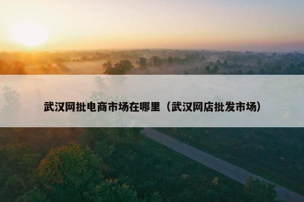武汉网批电商市场在哪里（武汉网店批发市场）