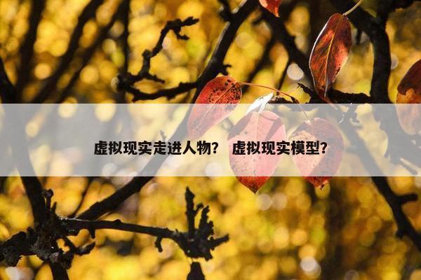 虚拟现实走进人物？ 虚拟现实模型？