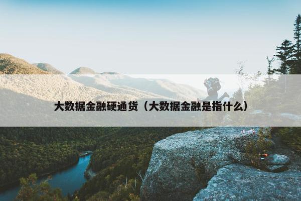 大数据金融硬通货（大数据金融是指什么）