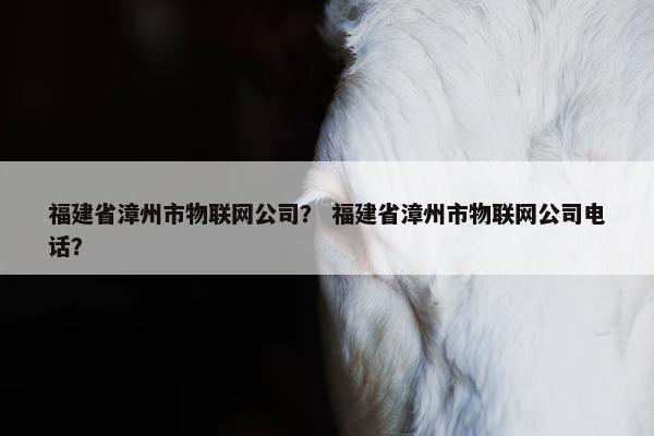 福建省漳州市物联网公司？ 福建省漳州市物联网公司电话？