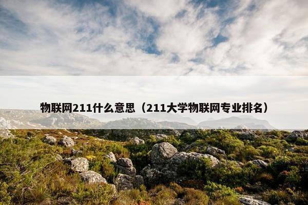 物联网211什么意思（211大学物联网专业排名）
