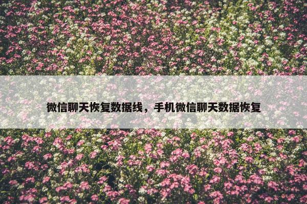 微信聊天恢复数据线，手机微信聊天数据恢复
