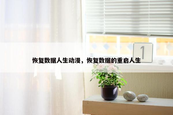 恢复数据人生动漫，恢复数据的重启人生