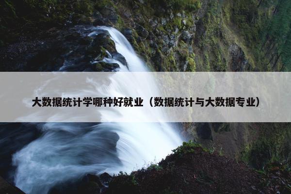 大数据统计学哪种好就业（数据统计与大数据专业）