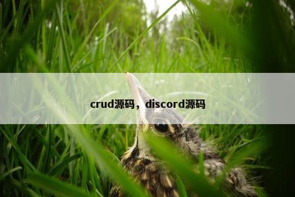 crud源码，discord源码