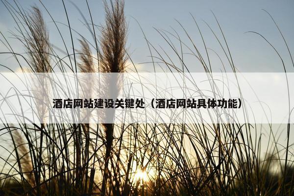 酒店网站建设关键处（酒店网站具体功能）
