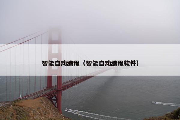 智能自动编程（智能自动编程软件）