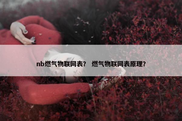 nb燃气物联网表？ 燃气物联网表原理？