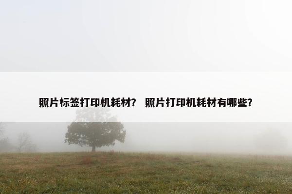 照片标签打印机耗材？ 照片打印机耗材有哪些？