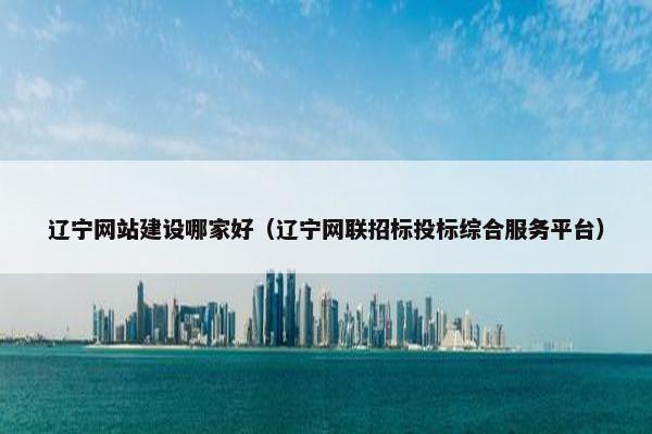 辽宁网站建设哪家好（辽宁网联招标投标综合服务平台）