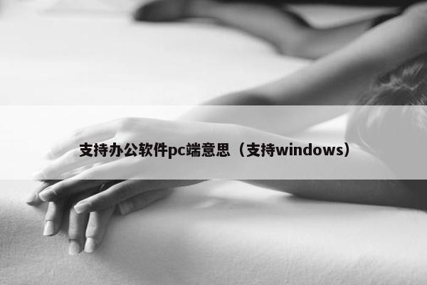 支持办公软件pc端意思（支持windows）