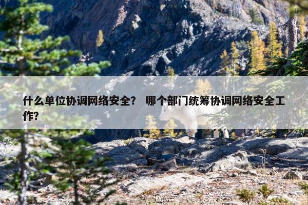 什么单位协调网络安全？ 哪个部门统筹协调网络安全工作？