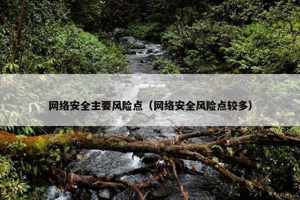 网络安全主要风险点（网络安全风险点较多）